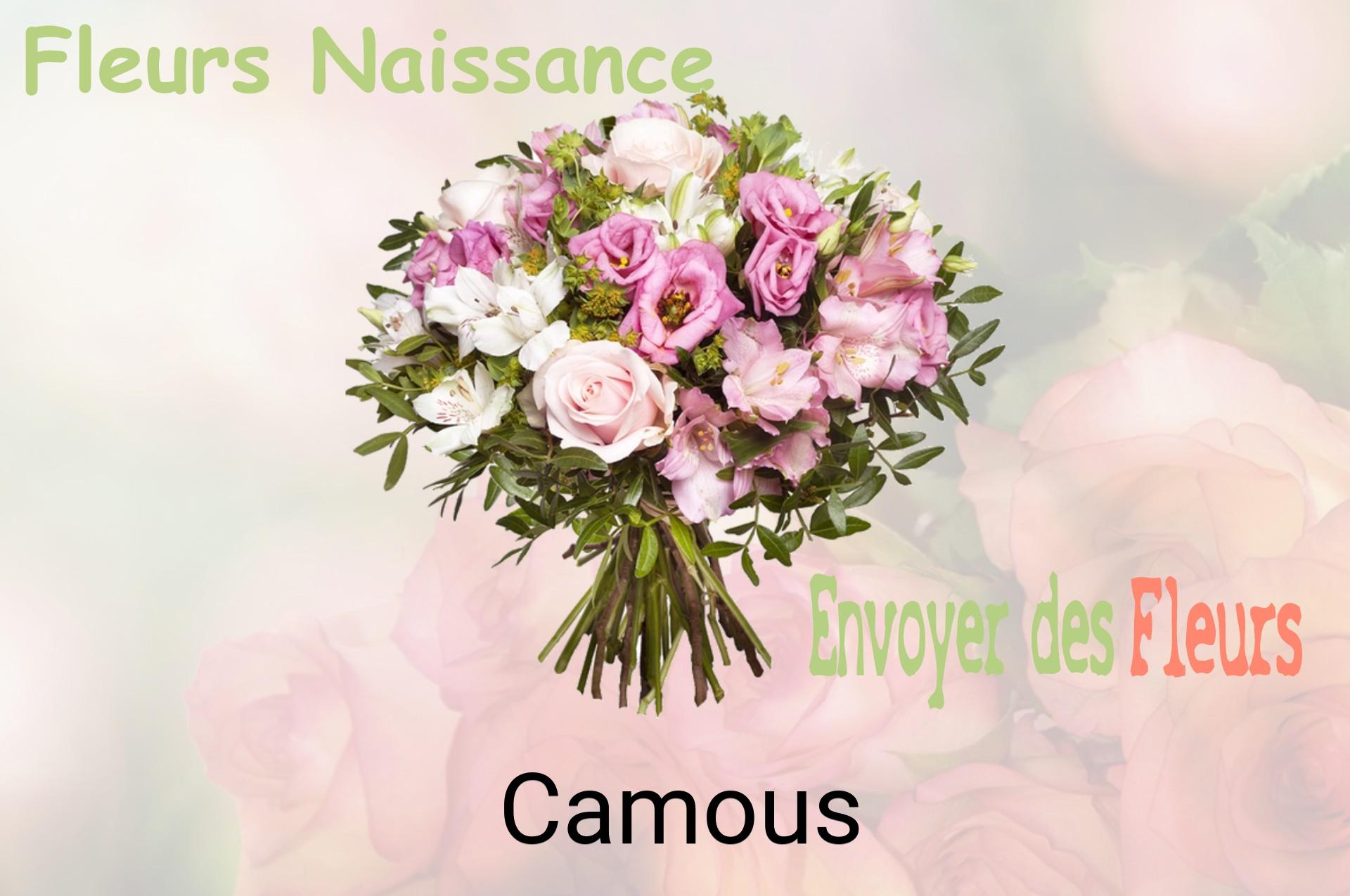 Bouquet de fleurs de naissance livré à Camous